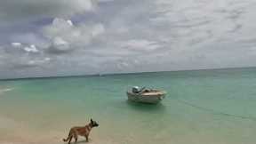ISLAND HOPPING! (so peaceful)