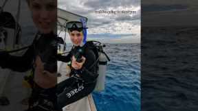 Why scuba divers fall backwards!