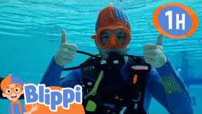 SD Scuba Diving | Blippi | Kids Songs | Moonbug Kids