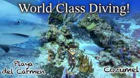 World's Best Scuba Diving Destinations - Cozumel and Playa del Carmen, Mexico