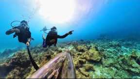 Scuba Diving in Lakshadweep | @AMMATHISCUBA