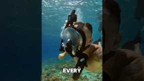 3 reasons why you need this 😍 #underwater #snorkeling #beach #ocean #watersports #diving