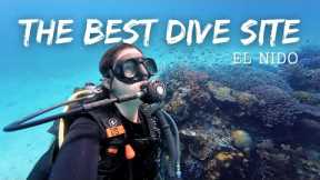 Scuba Diving in Palawan, Philippines | Amazing Diving in 2025