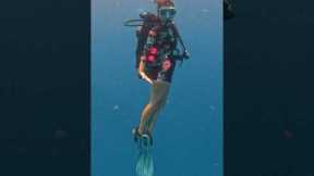 How to buy the BEST Scuba Gear #scubadiving #scubagear