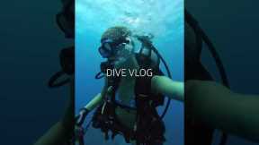 dive vlog kinda #florida #diving #scubadiving #beach #ocean #travel #nature #boat #fishing #boating