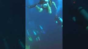 Diving deep in the Blue Hole in BELIZE!