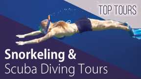 Snorkeling & Scuba Diving in Costa Rica | Marine Life & Ocean Adventures