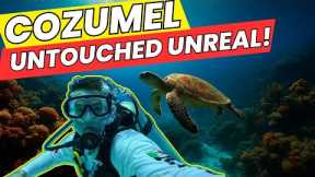 Scuba Diving in Cozumel – Is It Still the Best in 2025?