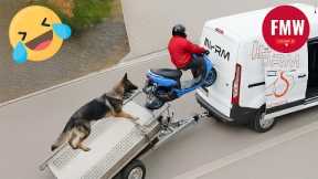 Try Not To Laugh 🤣 Top 100 Funniest Videos Ever 😂 | Funny Videos Compilation 2025 #6