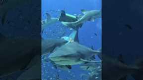 🐋 Our top 10 destinations to travel to in 2026!