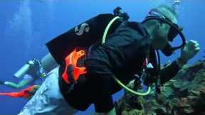 Amazing oceans scuba diving trip