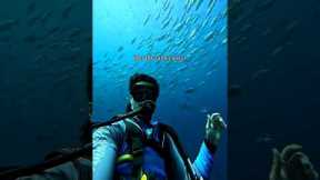 Scuba diving ar Netrani Island, Murdeshwar #travel #dive #divemurdeshwar #divinglife #divetrip #divi