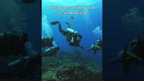 Best places in the world for scuba diving #scuba #scubadiving #thailand #travel #indonesia