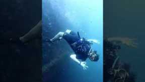 Phuket Dive Tour Scuba Diving Phuket Thailand #scubadiving #adventuresport #travel #scubadivingtrip