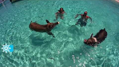 Exuma Island Hopping Speed Boat Tour from Nassau, Bahamas