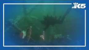 Mukilteo's scuba diving park plan hits rough waters