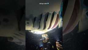 Nighttime is my absolute FAVORITE time to dive. Everything comes ALIVE after dark.