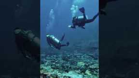 Komodo Dive Trip with La Galigo Liveaboard