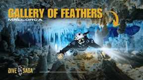 Diving Inside Mallorca’s Heavily Protected Underwater CAVE | Rare Access