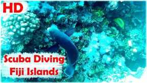 Scuba Diving Trip 1 ( Fiji Islands )