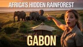 Gabon Rainforest Revealed: Africa’s Most Underrated Natural Paradise