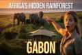 Gabon Rainforest Revealed: Africa’s