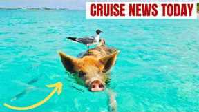 Popular Bahamas Cruise Excursion Sends Man to ICU