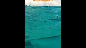 Dive into why Clifton Heritage Park is one of the best spots to snorkel in The Bahamas.