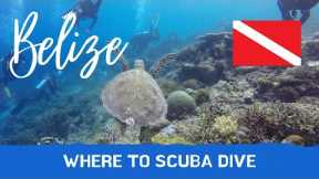 Scuba Diving in Belize - Top 13 Destinations