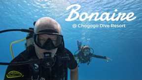 Exploring Bonaire: Chogogo Resort, Amazing Food & Epic Scuba Diving! 🏝️🐠
