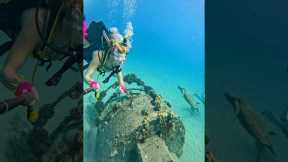 Scubie girls #scuba #diving #underwater #scubadiving