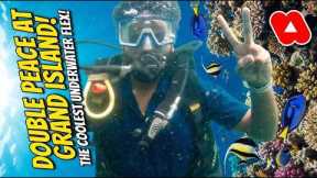 First Time Scuba Diving in Goa (Grand Island) | I Was Not Ready For This! 🤿
