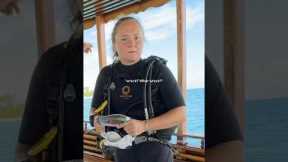 Scuba diving at the best resort in the Maldives  ￼#scubadiving #maldives ￼