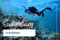 Scuba Diving in Andaman Havelock