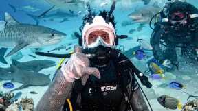 irl stream in Bahamas 🇧🇸 + Shark Diving 🦈