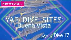 How we dive...Yap Dive Sites: Buena Vista 