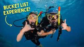 FINALLY Visiting the GREAT BARRIER REEF!! (What to Expect on a Day Trip from Cairns) - Queensland