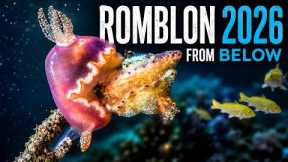 What its like to scuba dive in Romblon, Philippines