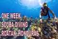 Scuba Diving in Roatan, Honduras